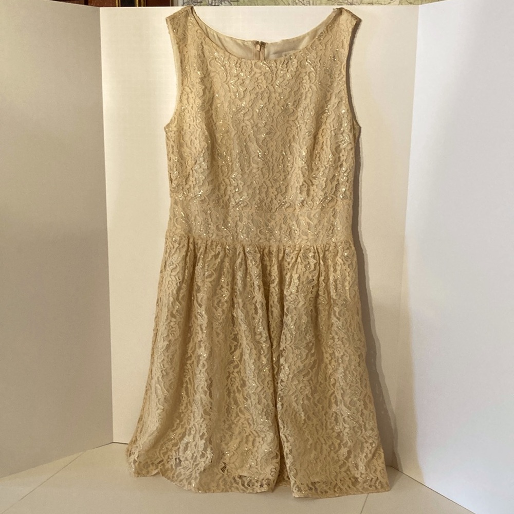 LOFT Allover Lace Dress with Hints of Silver Metallic Thread